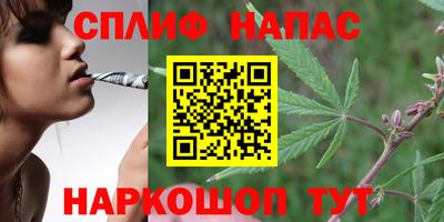 mdpv Будённовск
