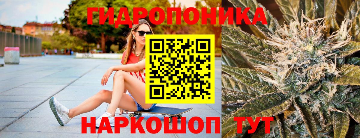 Бошки Шишки SATIVA & INDICA  Канабис тримм  Вход с VPN  Шишки марихуана SATIVA & INDICA  Марихуана Bruce Banner  Алапаевск 
